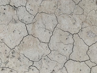 dry cracked earth