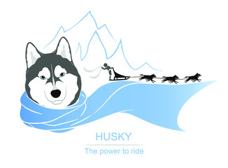Husky mushing logo template with sample slogan. Portrait of a blue-eyed husky wearing a blue scarf. Excited musher waving their hand at us. Dog sledding sport. Vector illustration isolated on white.  © VectorianEdge