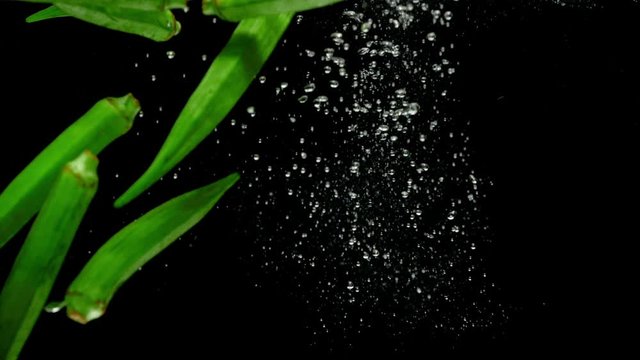 okra drop in water slow motion
