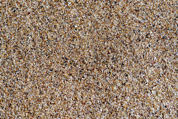 Incredible Natural Beauty seashore. Seashore Sand Multicolored Gravel Mixed Shells