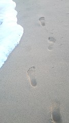 Footprints in the sand. Steps along the shore.