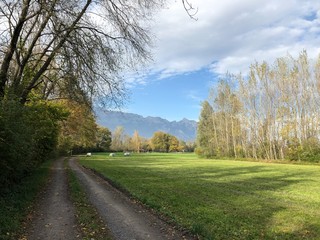 Obraz premium radweg im grünen