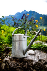 watering can standing on a rock with spring flowers