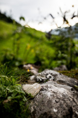 stone in heart shape with fields and flowers in the background