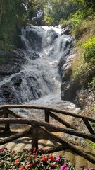 Datanla Waterfall - Da Lat, Vietnam