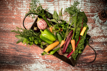 carrots, green pepper, cucumber, chili and other vegetables in a basket.
