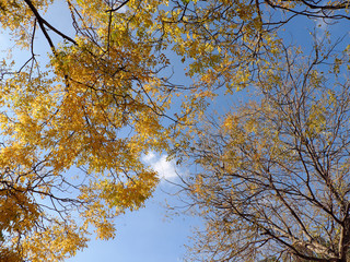 Autunno 