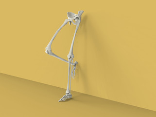 Model of human legs and hips on yellow background, 3D render
