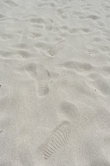 Footprints in the sand. Steps along the shore.