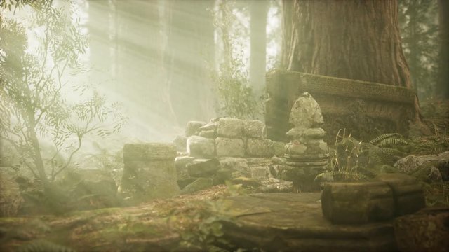 Hoary ruins of ancient city in pine forest