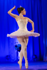 woman ballerina in a white tutu dancing performance on stage in a theater on a blue background © Kozlik_mozlik