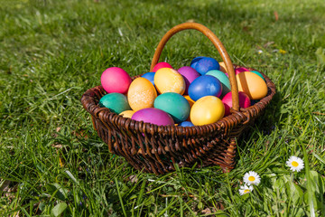 Weidenkorb voll mit bunten Ostereiern steht im Gras