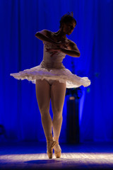 woman ballerina in a white tutu dancing performance on stage in a theater on a blue background © Kozlik_mozlik
