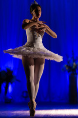 woman ballerina in a white tutu dancing performance on stage in a theater on a blue background © Kozlik_mozlik