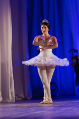 woman ballerina in a white tutu dancing performance on stage in a theater on a blue background © Kozlik_mozlik