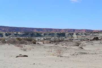 Landscape Argentina