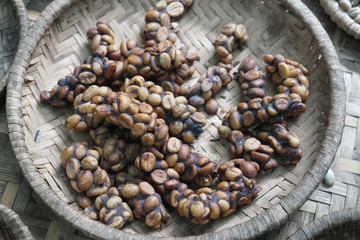 Kopi luwak or civet coffee, is one of the world's most expensive varieties of coffee