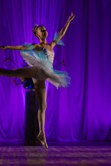 Young girl ballerina in a light blue dress tutu dancing performance of a ballet on stage in a theater © Kozlik_mozlik