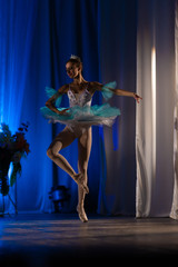 Young girl ballerina in a light blue dress tutu dancing performance of a ballet on stage in a theater © Kozlik_mozlik