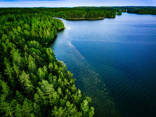 Aerial view of blue lake and green forest in Finland.