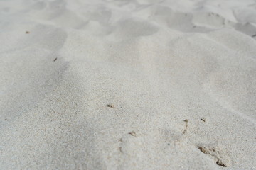 white sand background. fine white sand close. sand like flour