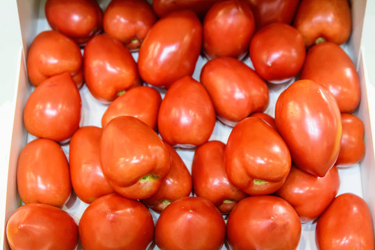 Mixed fresh organic red tomatoes on a white table in display for sale at a street food market, side view or flat lay photo of healthy food
