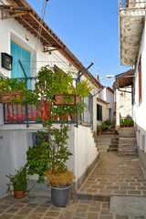 Fototapeta na wymiar A narrow street among the picturesque houses of a mountain village