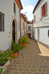 A narrow street among the picturesque houses of a mountain village