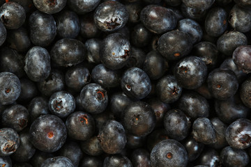 Background formed with ripe blueberry