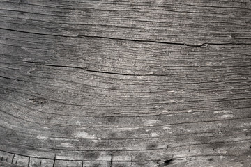 old gray rustic wooden texture