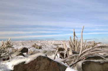Frozen Lake Erie landscape during a cold winter 