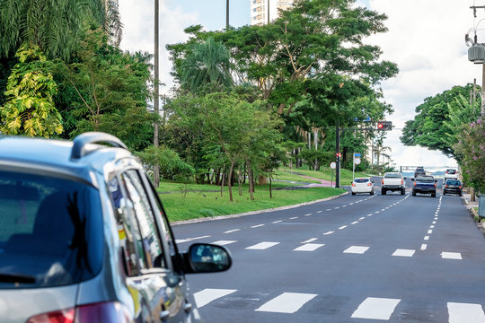 One way avenue with four lanes, large wooded avenue with few traffic of cars. Car stopped before the pedestrian crossing lane. Afonso Pena avenue at Campo Grande MS, Brazil.