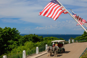 Horse and carriage ride