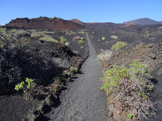 Way through volcanic landscape in Fuencaliente. South of La Palma Island. Canary Islands. Spain.