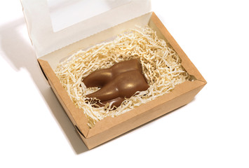 funny chocolate brown tooth with gold spray in gift packaging craft box isolated on a white background for dentist