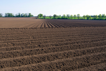Ploughed field in the morning, in Cusworth, Doncaster, South Yorkshire, England.