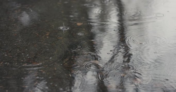 Raindrops dripping into the puddle on tarmac ground with a reflection of trees on a rainy day