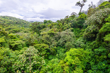 Eine Reise durch das wundervolle Costa Rica.