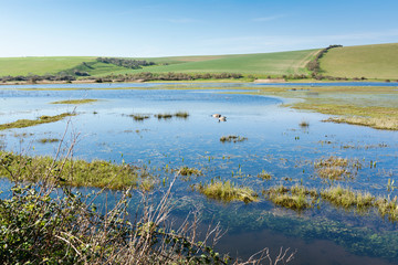 View of Cuckmere river, South Downs National Park, near Seaford and Eastbourne, Sussex