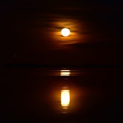 Fototapeta premium Moonshine