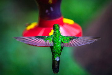 Eine Reise durch das wundervolle Costa Rica.