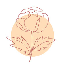 Beautiful orange peony flower isolated on white background. Hand drawn outline vector illustration for logo design, wedding invitation, floral cards, botanical crafts.