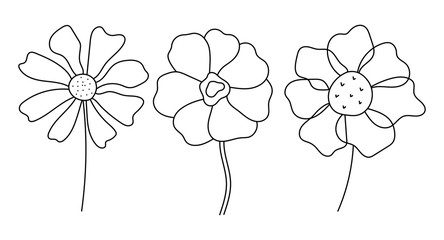 Beautiful flowers set isolated on white background. Hand drawn outline vector illustration for logo design, wedding invitation, floral cards, botanical crafts. Black and white modern art.