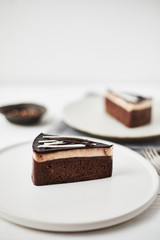 tasty homemade chocolate cake.