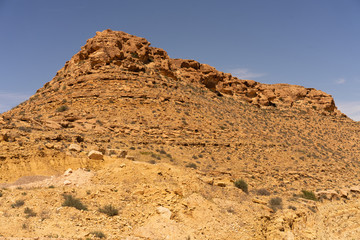 Fototapeta premium mountain oasis in the desert