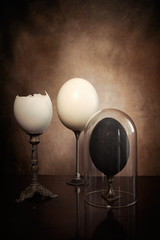 Uova di struzzo  antico con la campana di vetro