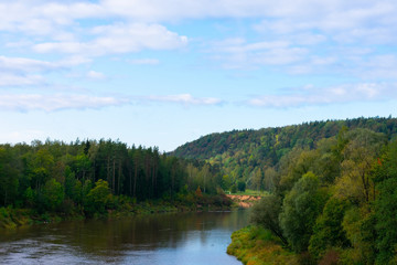 Fototapeta na wymiar Picturesque landscape of deep river and european mixed forest. A lot of trees on shores