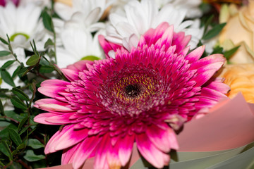Obraz premium Big pink gerbera as main flower in bouqet, group of colorful flowers with bright petals and dark core
