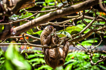 Eine Reise durch das wundervolle Costa Rica.
