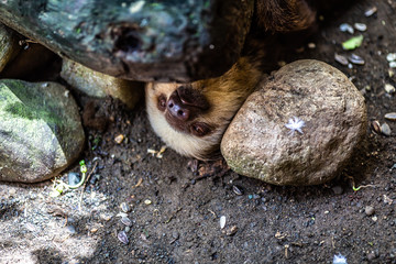 Eine Reise durch das wundervolle Costa Rica.
